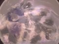 WP_20160807_15_40_23_Pro.jpg